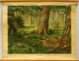 AVM V 17 05 131 011.jpg
