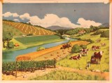 AVM V 17 07 009 009.jpg