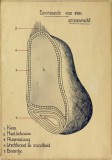 AVM V 17 10 001 004.jpg