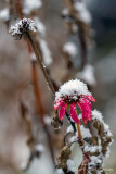 11/07/2019 - _MG_1073.jpg