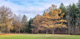 11/25/2019 - LRM-110459.jpg