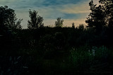 06/29/2020 - _N9A3597.jpg