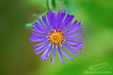 09/10/2020 - _N9A6056.jpg