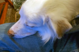 12/14/2020 - LRM-212618.jpg