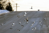 01/31/2021 - _42A0276.jpg