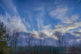 02/11/2021 - _42A1043.jpg