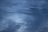 03/15/2021 - _42A2351.jpg