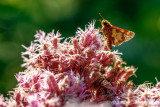 08/24/2021 - _42A0448.jpg