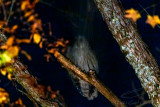 10/09/2021 - _42A9339.jpg