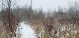 01/07/2022 - LRM-112909.jpg