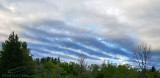 05/17/2022 - LRM-070810.jpg