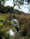 Boat at Iguassu