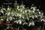 march_2021