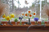 april_2021