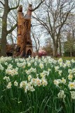 Daffodils & Friends