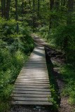 Hiking Up Harmony Hill