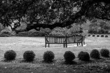 Walking Winterthur:  The Benches of Winterthur