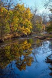 Gold on the Brandywine