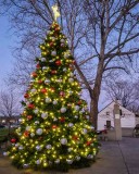 Downingtowns Christmas Tree at Dusk #6 of 5