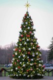 Downingtowns Christmas Tree at Dusk #4 of 7
