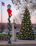 Downingtowns Christmas Tree at Dusk #1 of 7