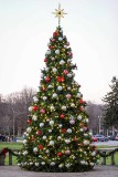 Downingtowns Christmas Tree at Dusk #3 of 7