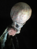 Science Fiction