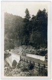 Cold R. Bridge, Mohawk Trail.