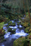 Elk Creek, Coos County, Oregon 