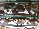 Gayles Chocolates Cottonwood Arizona