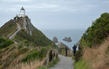 Nugget Point