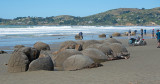 Moeraki Boulders