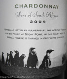 Zwartvoetpingun - African penguin - Spheniscus demersus - South African Chardonnay white wine 2009