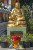 Wat Nong Ja Bok Phra Maha Katchaina Image (DTHNR0261)