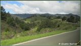Muir Woods