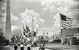 Flags 