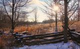 Fenceline  