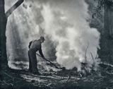 Brush-Burner  