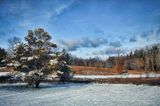Arboretum Winter 