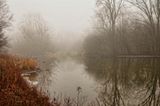 Eramosa Fog  