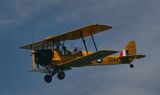 Tiger Moth 5884  
