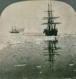 Whalers Cruising  