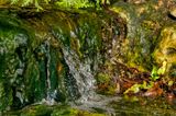 Falling Water 