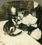 Interrupted Meal  