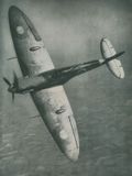 Spitfire  