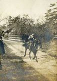 Mounted Infantry 9  