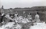 Picnic 