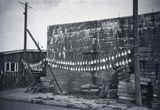 Drying Fish  