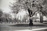 Posing Under the Tree  