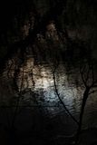 River Reflections  